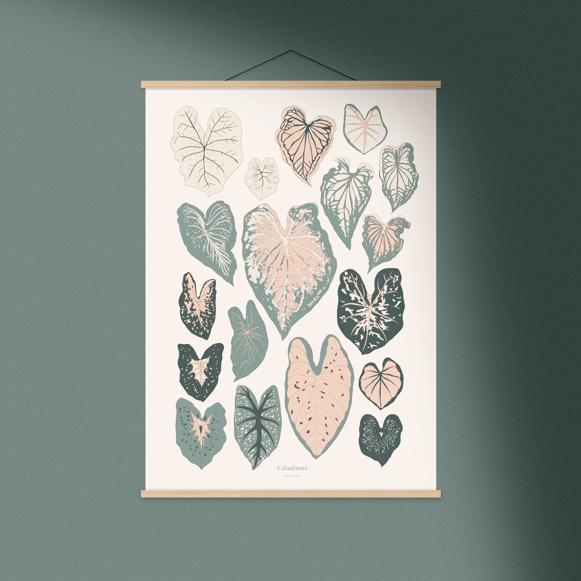 Caladiums Art Print | The Baltic Club