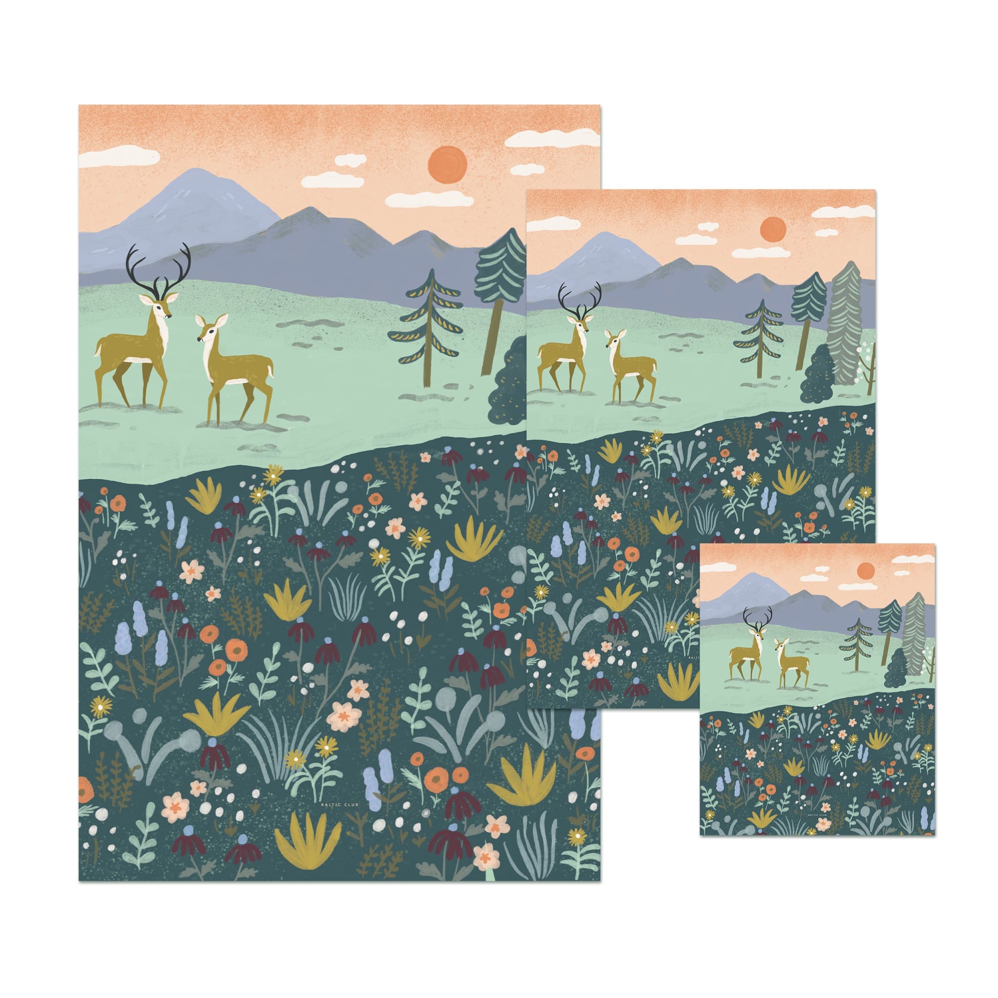 Deer Art print | Sarah Walsh