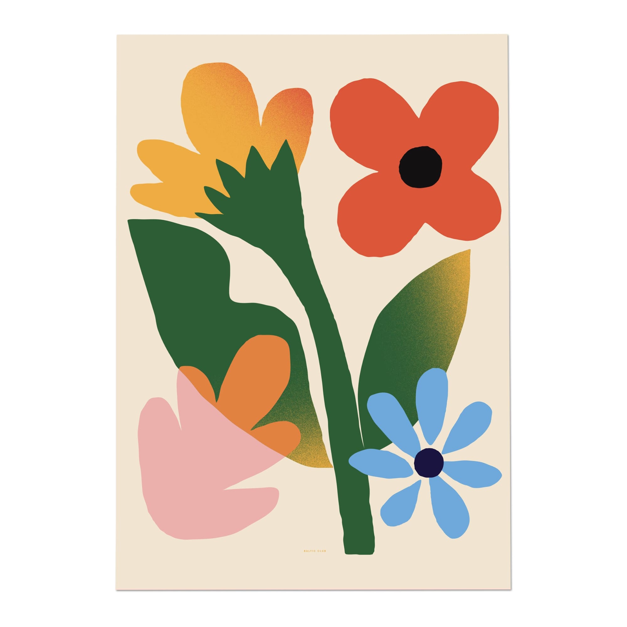 Flower Fields Art print - Baltic Club