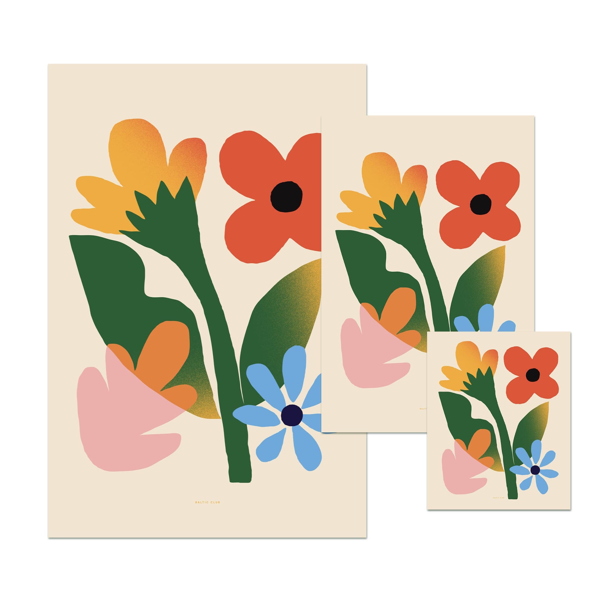 Flower Fields Art print - Baltic Club