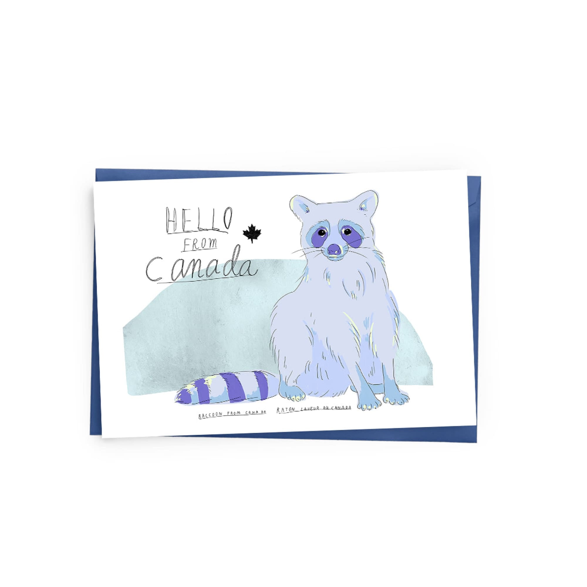 Hello from Canada: Raccoon Greeting Card - Baltic Club