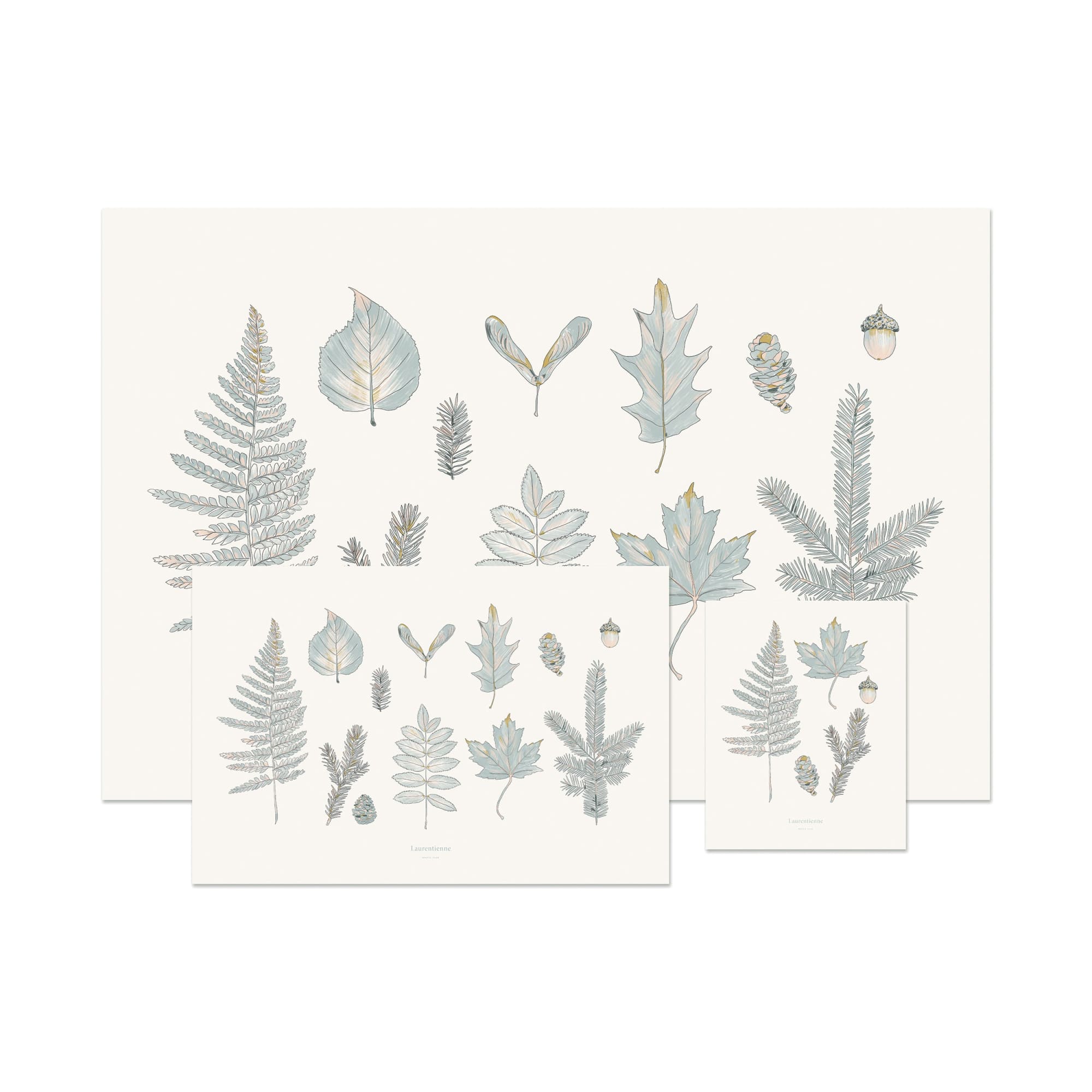 Laurentian Forest Art Print | The Baltic Club