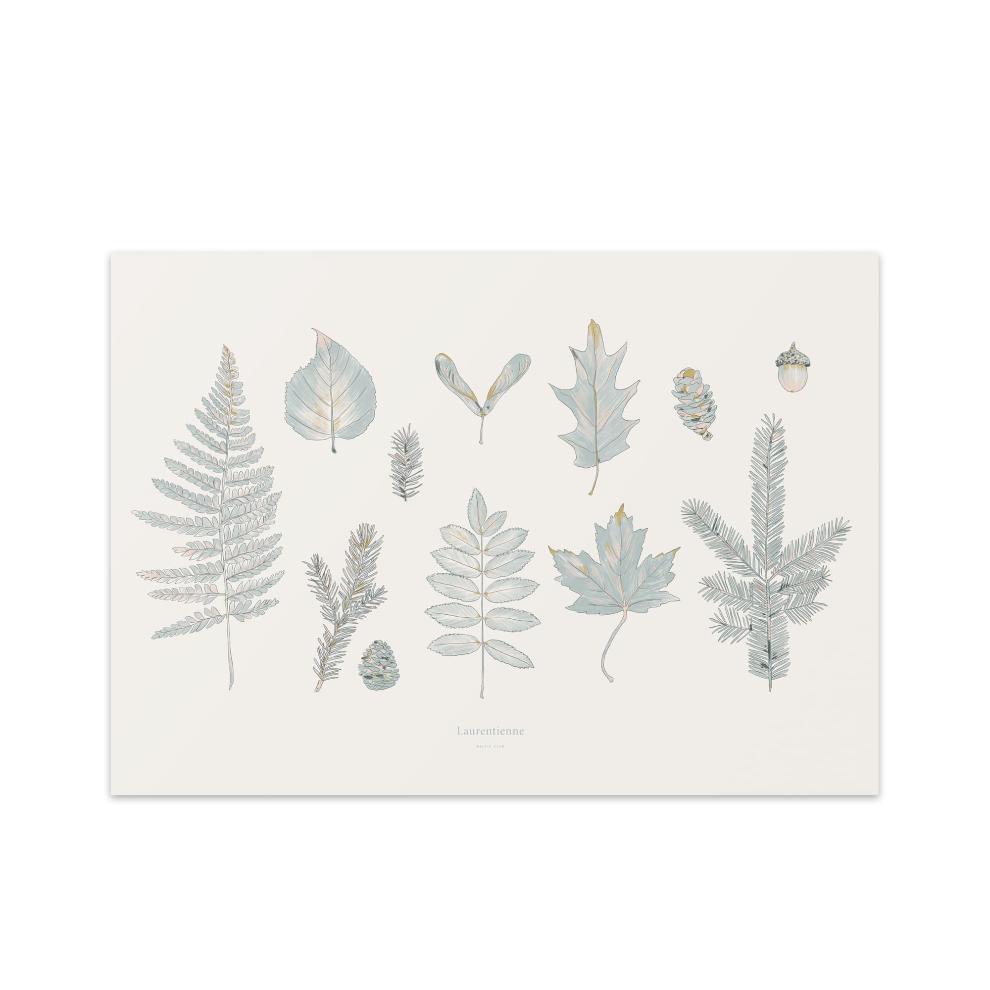 Laurentian Forest Art Print - Baltic Club