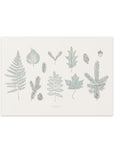 Laurentian Forest Art Print - Baltic Club
