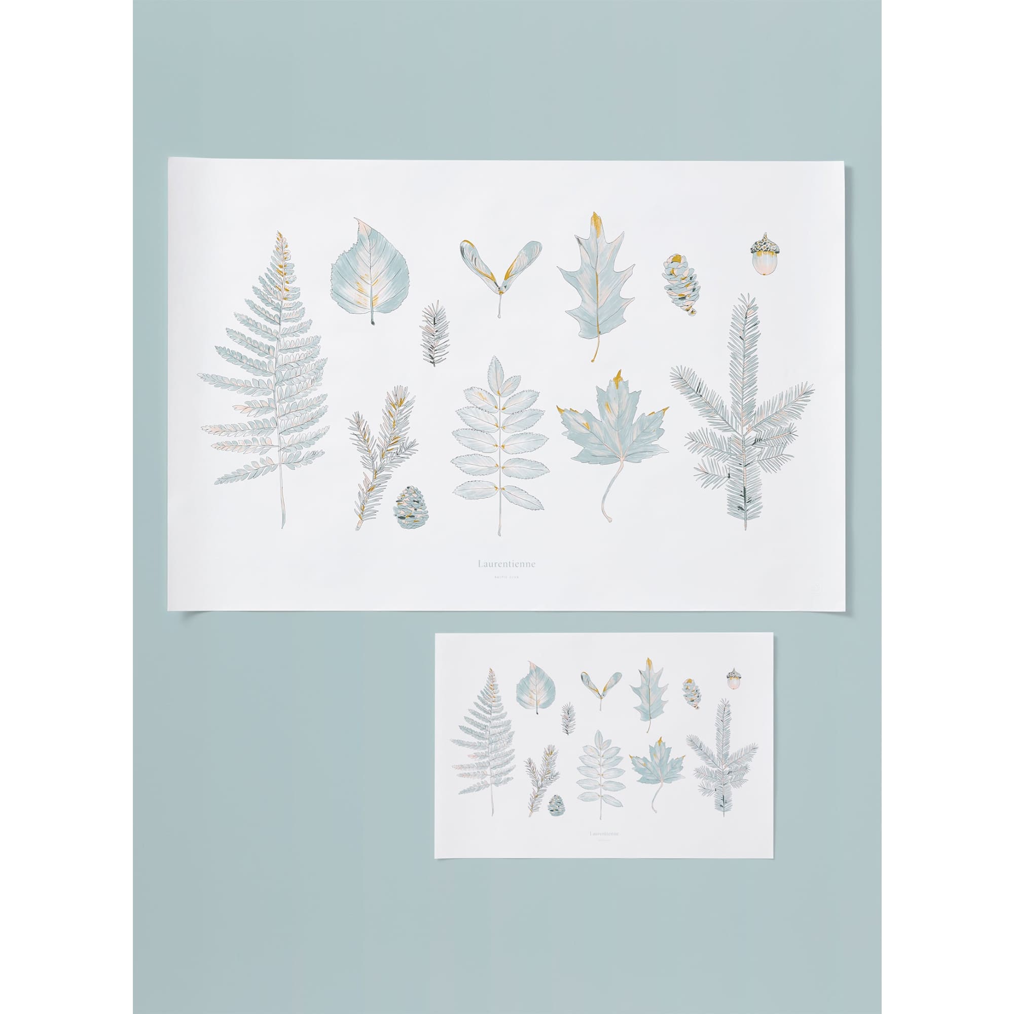 Laurentian Forest Art Print - Baltic Club