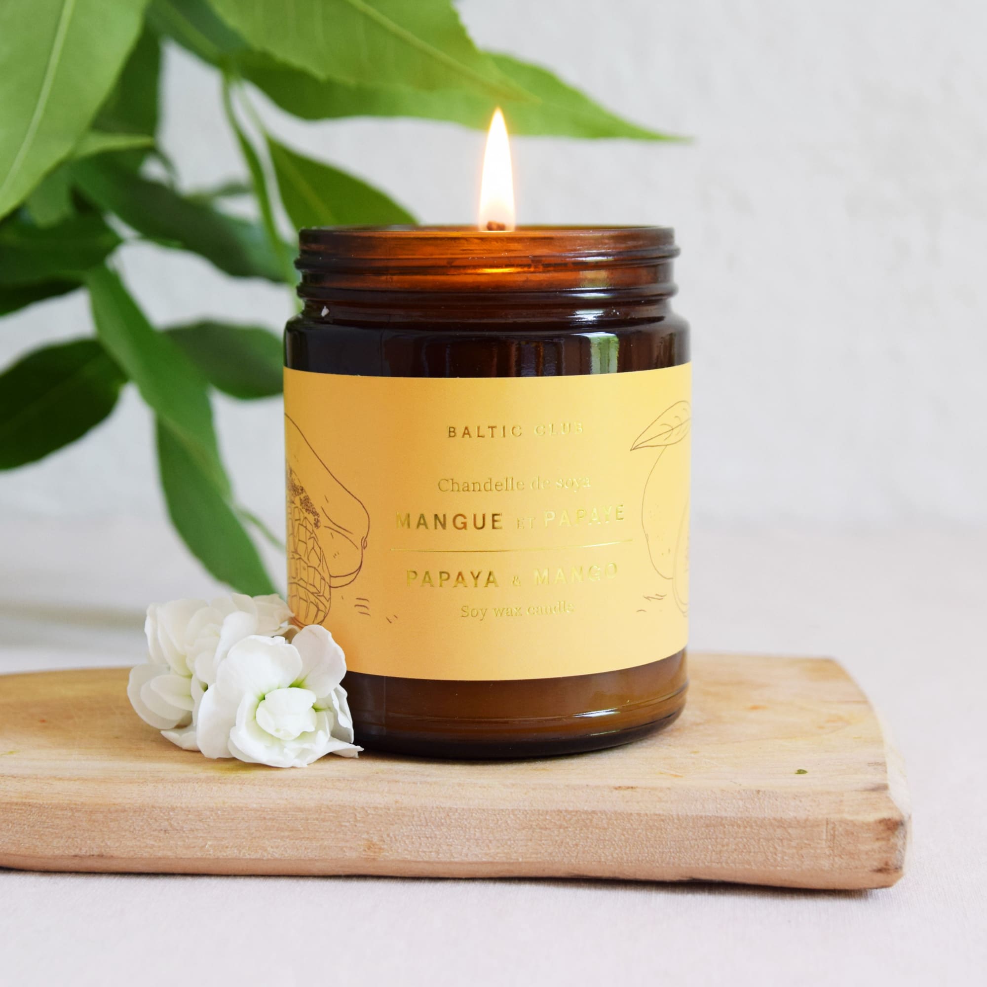 Mango & Papaya Soy Candle | The Baltic Club