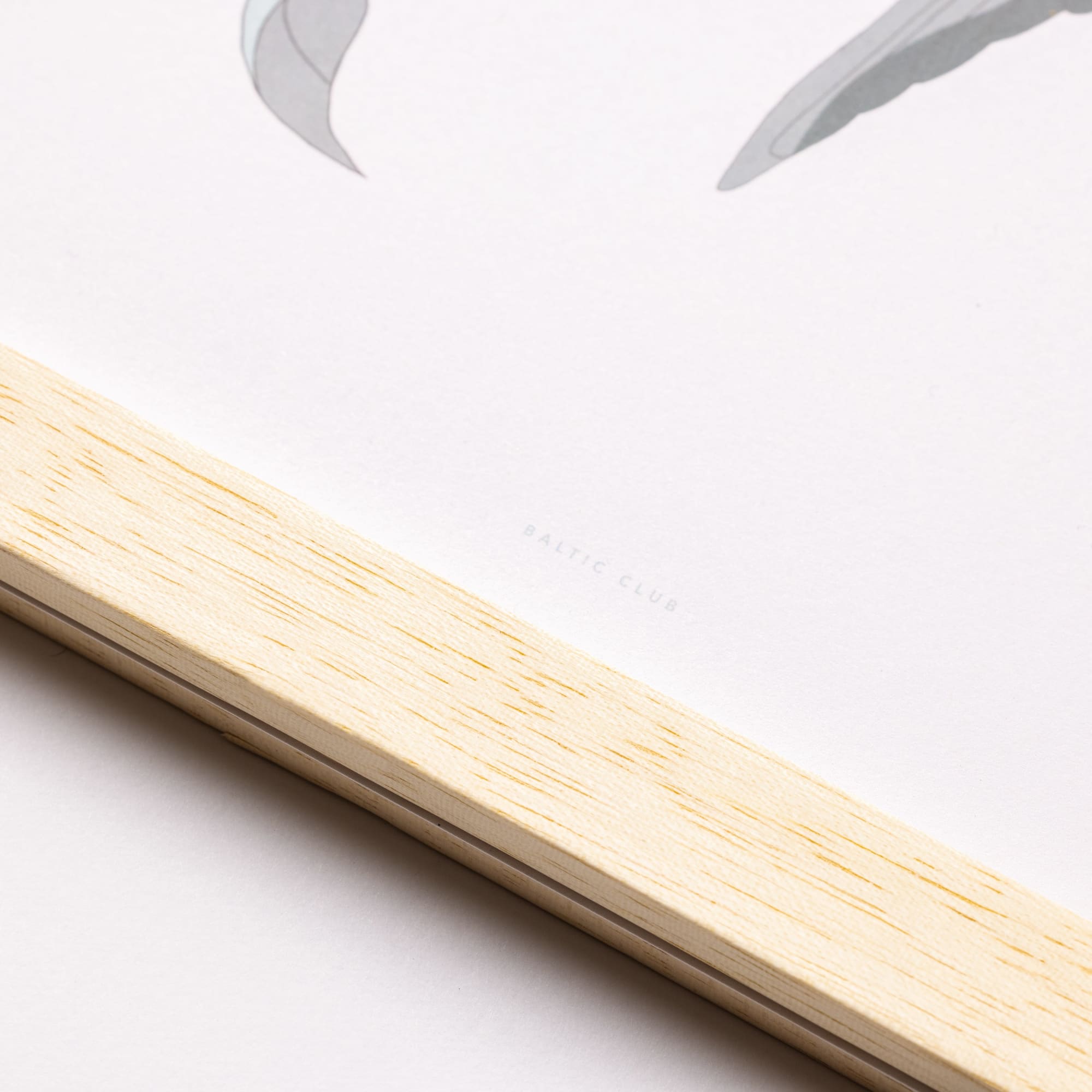 Marupa Magnetic frame - Baltic Club