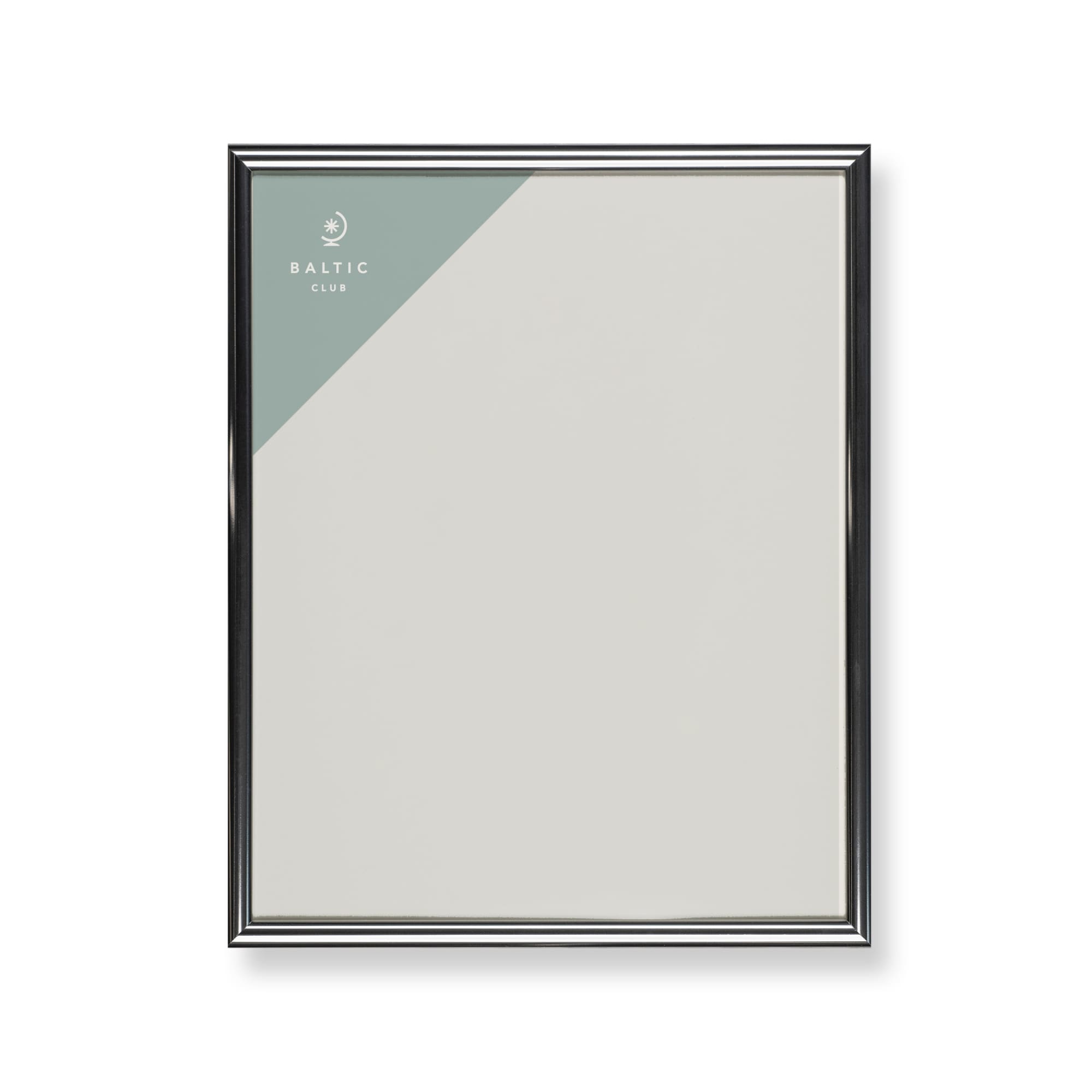 Metallic Shiny Silver Frame | Frame USA