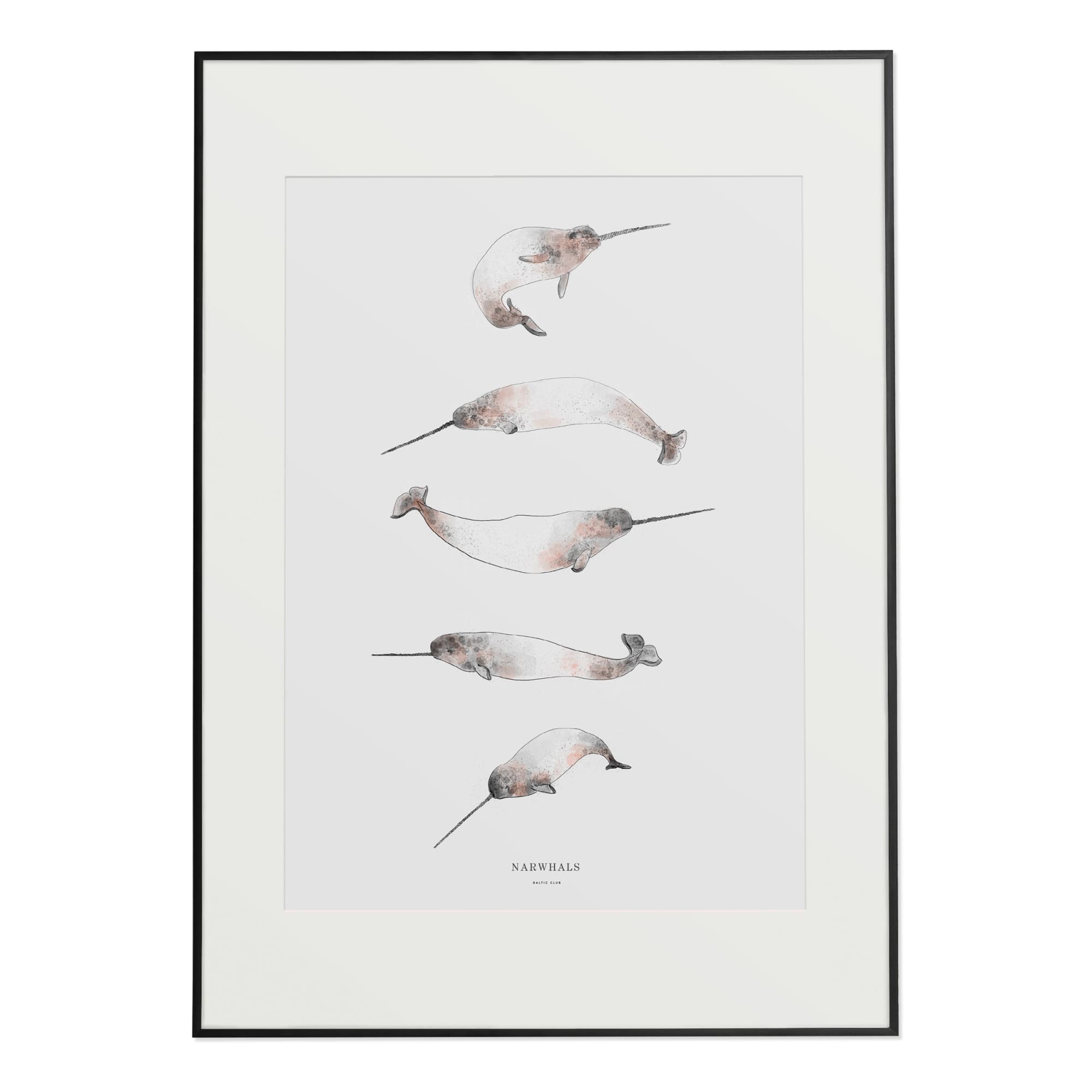 Narwhals Art Print - Baltic Club
