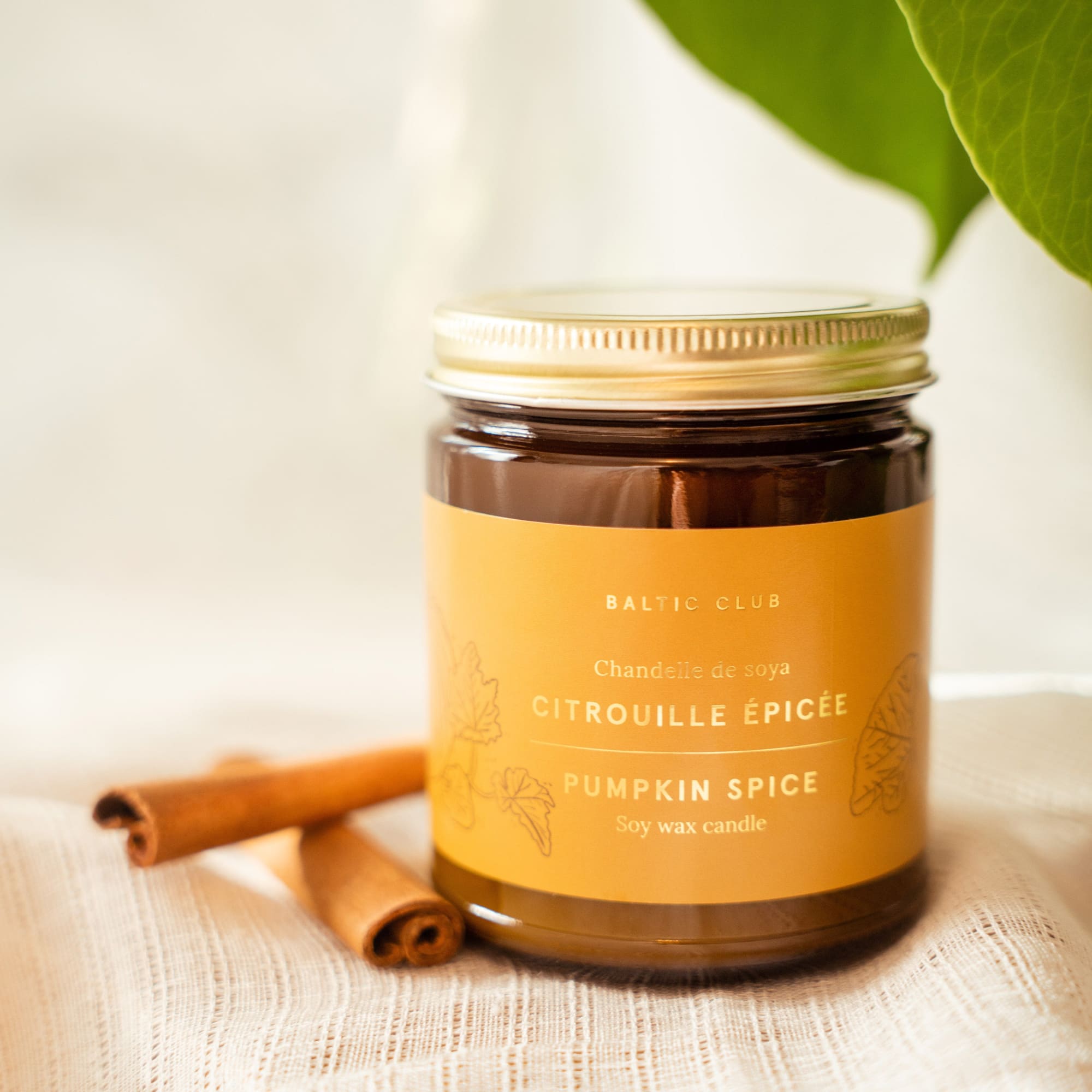 Pumpkin Spice Soy Candle - Baltic Club