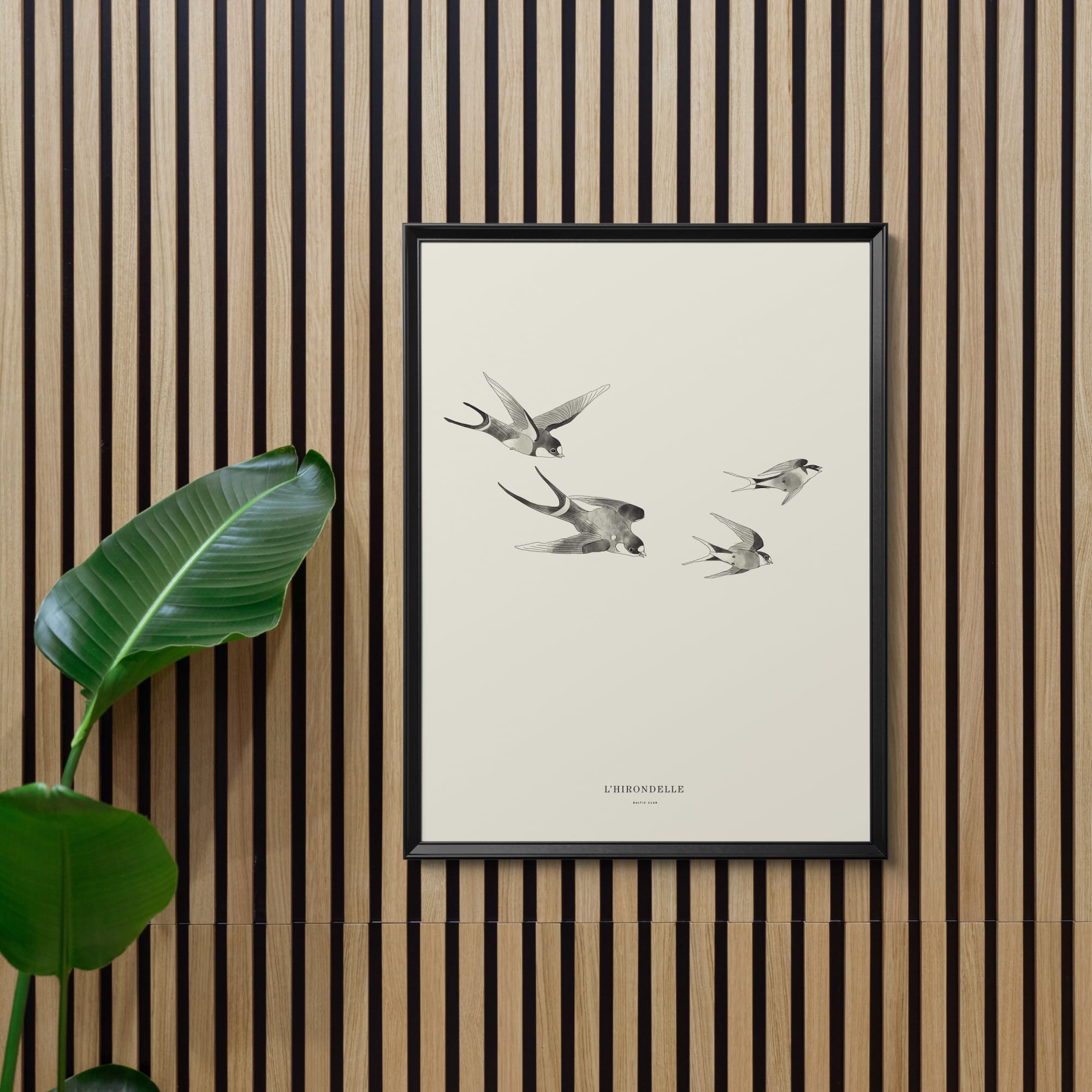 Swallows Art Print | 12 x 18 | The Baltic Club
