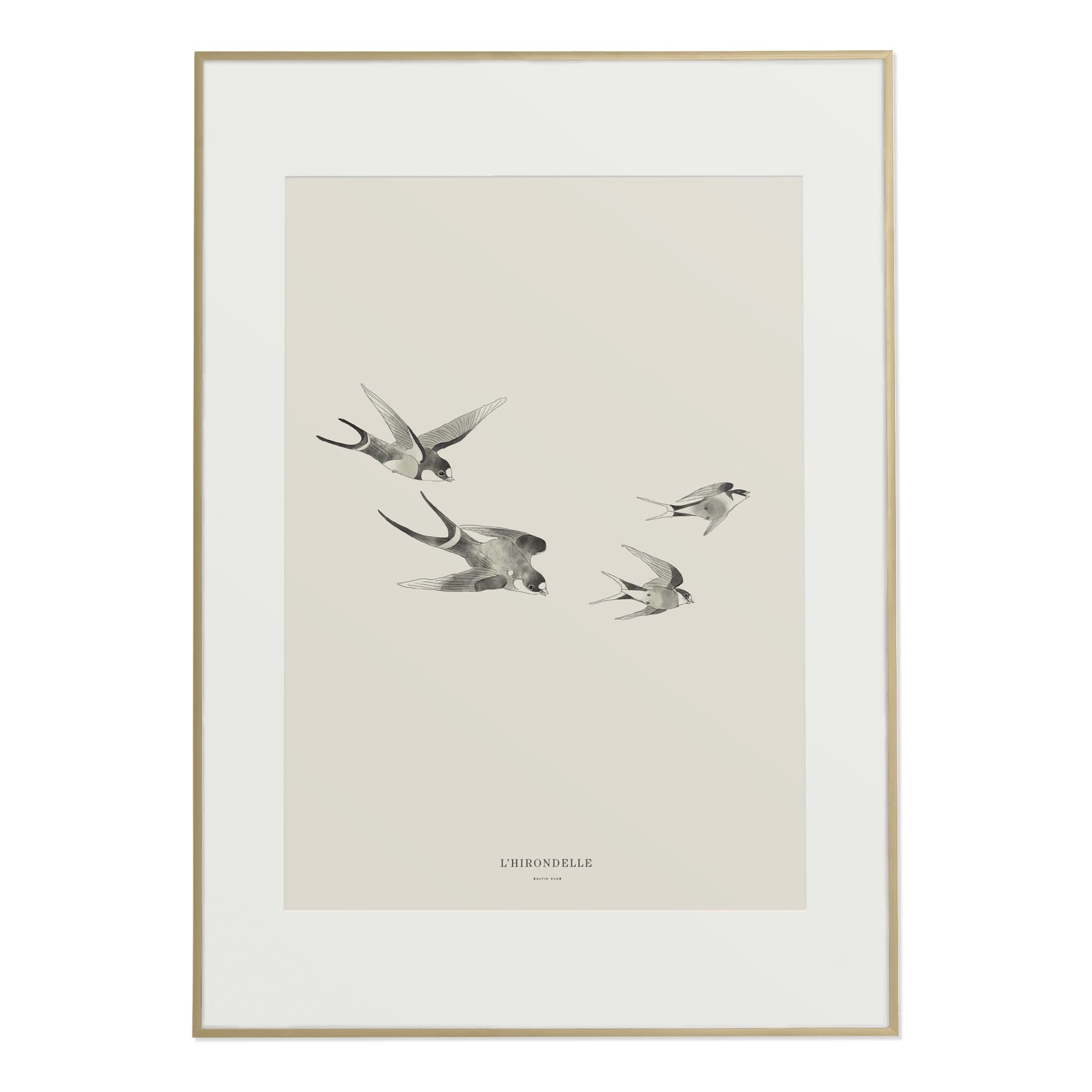 Swallows Art Print | The Baltic Club