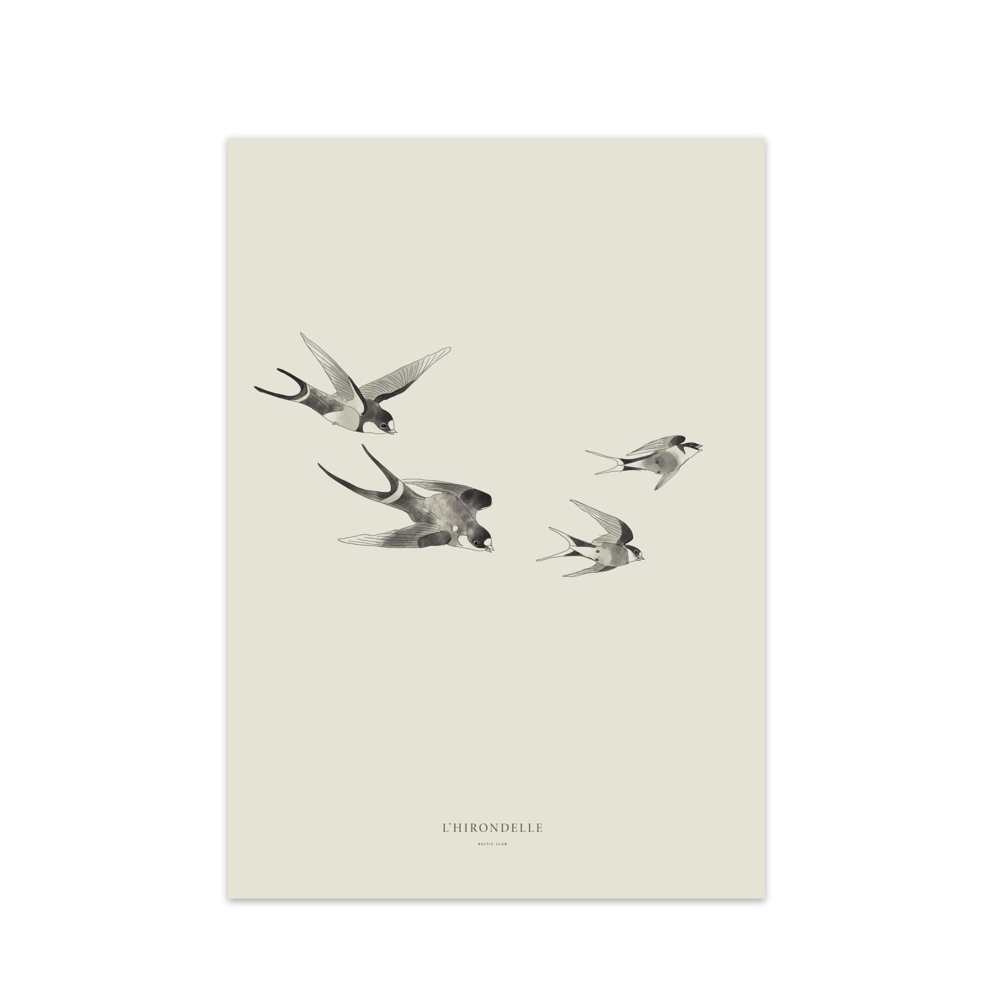 Swallows Art Print | The Baltic Club