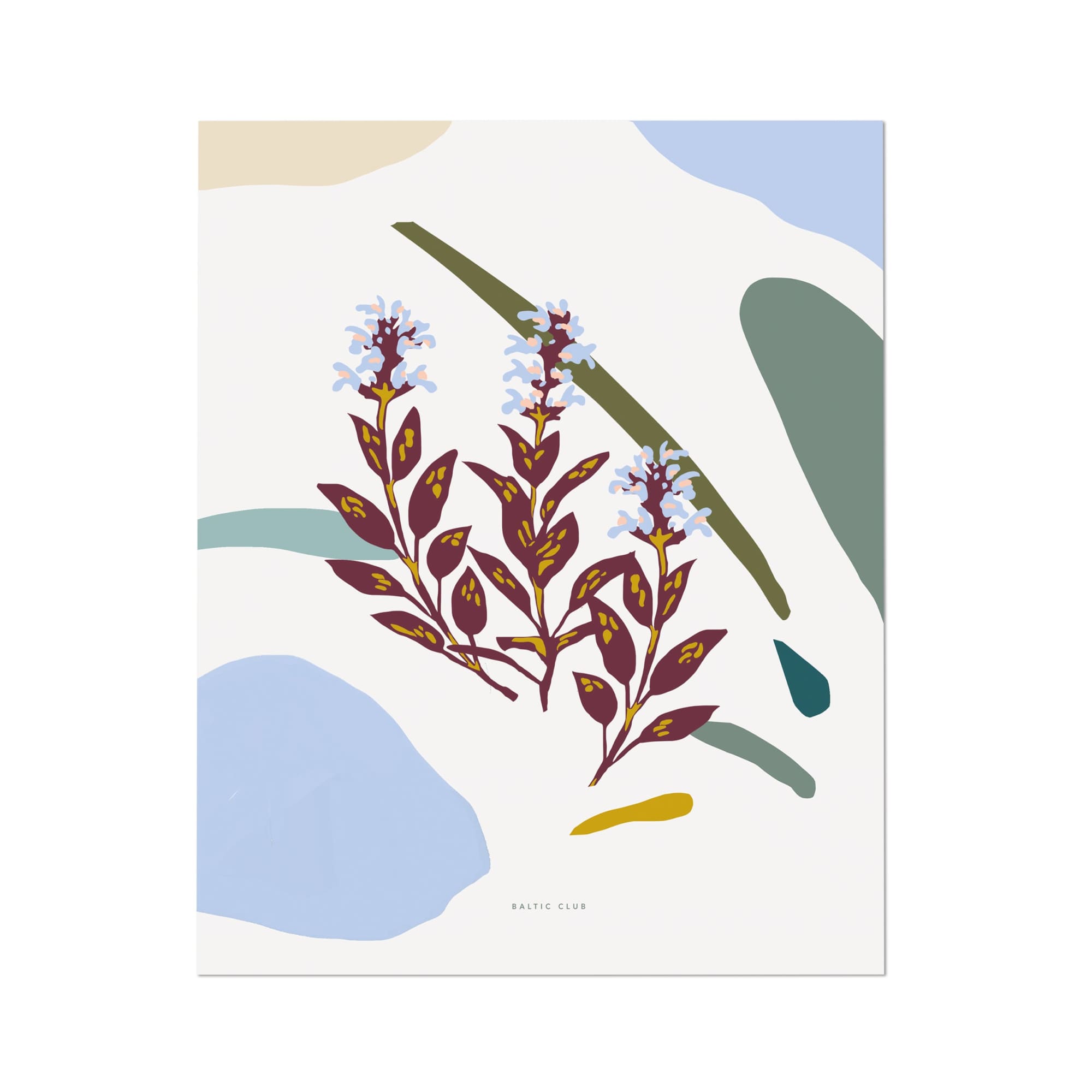 Tectonic Flowers Art Print | 8 x 10 | The Baltic Club